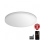 Steinel 067717 - Plafón LED regulable con sensor RS PRO R10 PLUS SC 8,5W/230V IP40 3000K