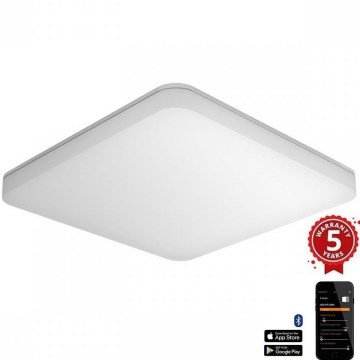 Steinel 067731- Plafón LED regulable con sensor RS PRO R20 PLUS 15,86W/230V IP40 4000K