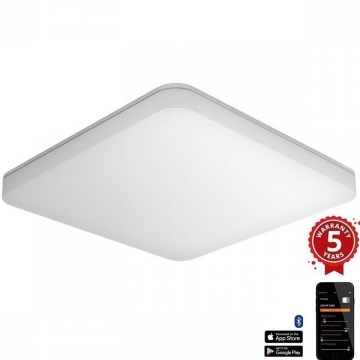 Steinel 067748 - Plafón LED regulable con sensor RS PRO R20 PLUS 15,86W/230V IP40 3000K