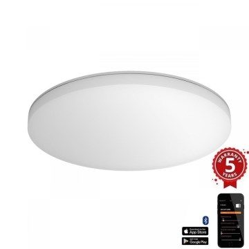 Steinel 067762 - Plafón LED regulable con sensor RS PRO R30 plus SC 23,7W/230V 4000K IP40