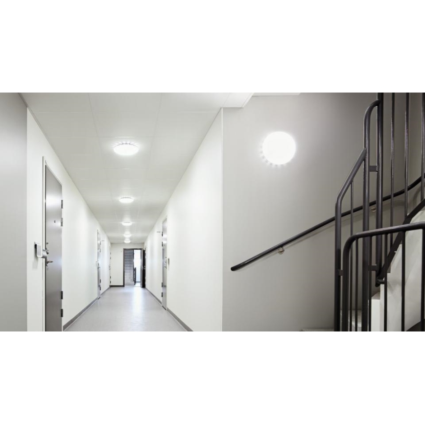 Steinel 068059 - Plafón LED con sensor RS PRO S30 SC 25,8W/230V 3000K