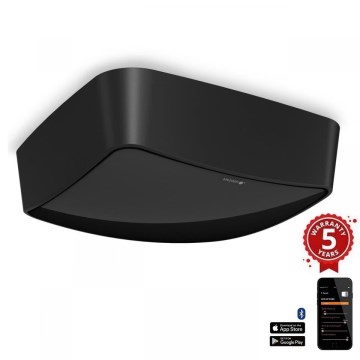 Steinel 068493 - Detector de presencia TRUE PRESENCE COM1 IP54 negro