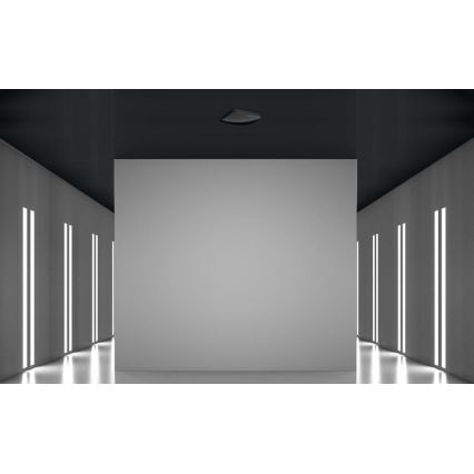 Steinel 068509 - Detector de presencia TRUE PRESENCE COM1 negro