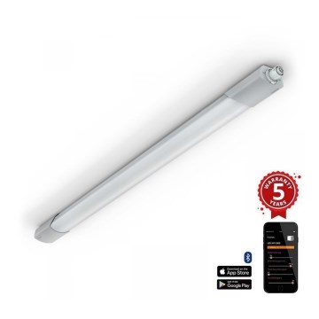 Steinel 078881 - Lámpara LED de alta resistencia con sensor RS PRO 5100 SC LED/30W/230V IP66