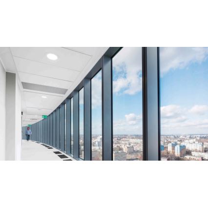Steinel 079468 - Detector de presencia Hallway COM1 blanco