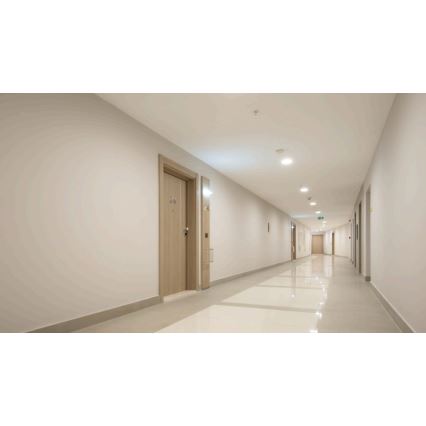 Steinel 079703 - Sensor de movimiento IS 345 KNX IP54 redondeado blanco