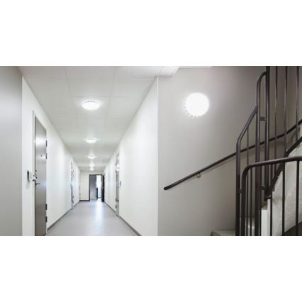 Steinel 081935 - JUEGO 5x Plafón LED con sensor RS PRO S10 SC LED/9,1W/230V 3000K