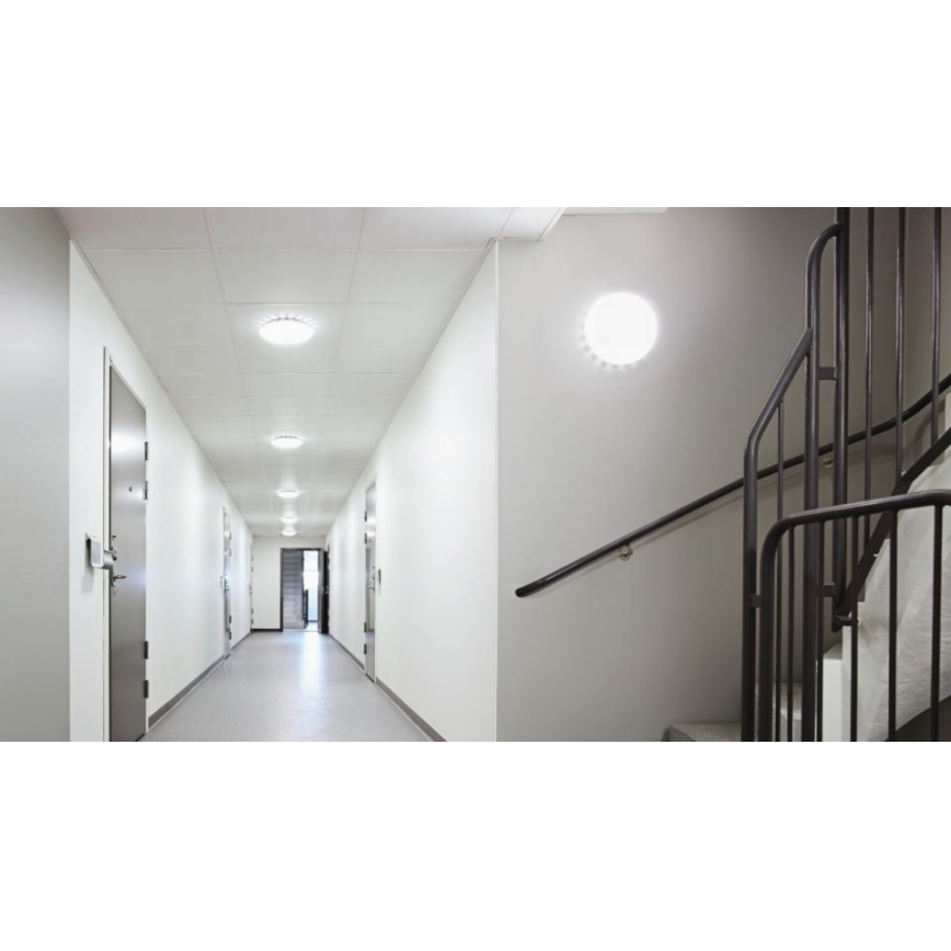 Steinel 081935 - JUEGO 5x Plafón LED con sensor RS PRO S10 SC LED/9,1W/230V 3000K