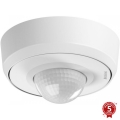 Steinel 087821 - Sensor de movimiento para exterior con un sensor de presencia PD-24 ECO COM1 360° IP54 blanco