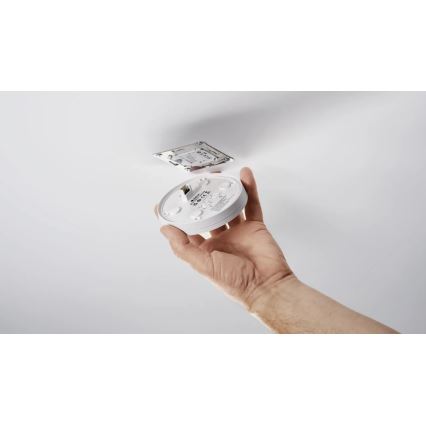 Steinel 087999 - Sensor de movimiento con un sensor de presencia PD-8 ECO KNX 360° blanco