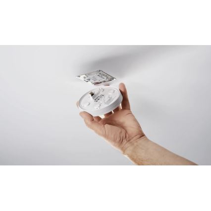 Steinel 088033 - Sensor de movimiento empotrable con un sensor de presencia PD-24 ECO KNX 360° blanco