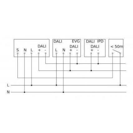 Steinel 088163 - Sensor de movimiento empotrable con un sensor de presencia PD-8 ECO DALI-2 360° negro