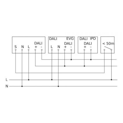 Steinel 088187 - Sensor de movimiento con un sensor de presencia PD-8 ECO DALI-2 360° negro
