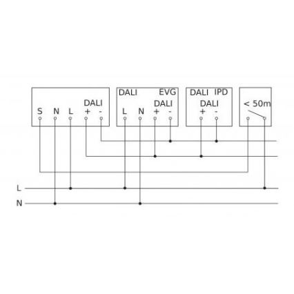 Steinel 088248 - Sensor de movimiento empotrable con un sensor de presencia PD-24 ECO DALI-2 360° negro