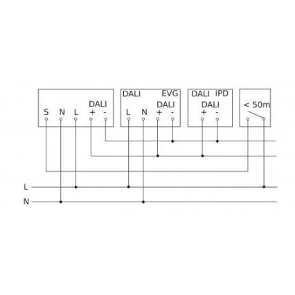 Steinel 088279 - Sensor de movimiento con un sensor de presencia PD-24 ECO DALI-2 360° blanco