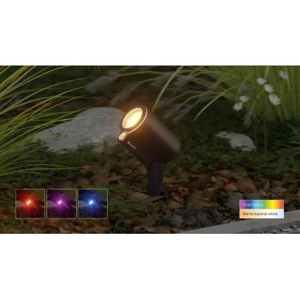 Steinel 089351 - Lámpara exterior LED RGBW LED/7,9W/24V IP65