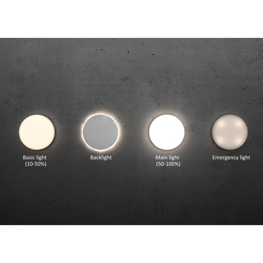 Steinel - Plafón LED regulable con sensor RSPROR20BASIC 15,3W/230V IP40 3000K