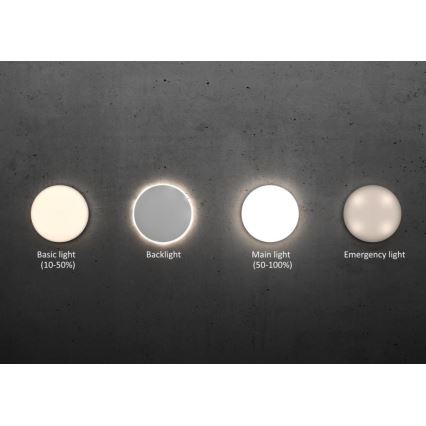 Steinel 067755 - Plafón LED Regulable con sensor RS PRO R20 PLUS 15.86W/230V IP40 3000K