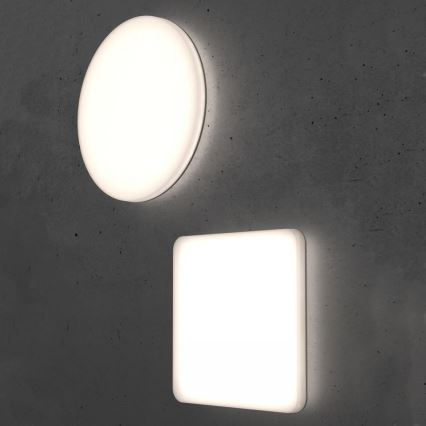 Steinel 067724 - Plafón LED regulable con sensor RS PRO R20 PLUS 15,86W/230V IP40 4000K