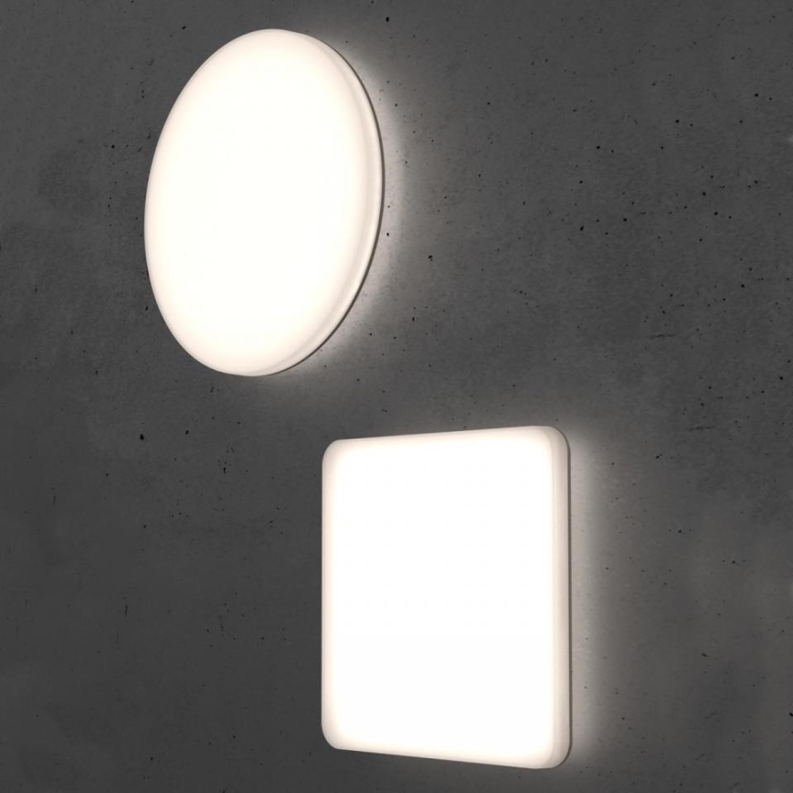 Steinel 067724 - Plafón LED regulable con sensor RS PRO R20 PLUS 15,86W/230V IP40 4000K