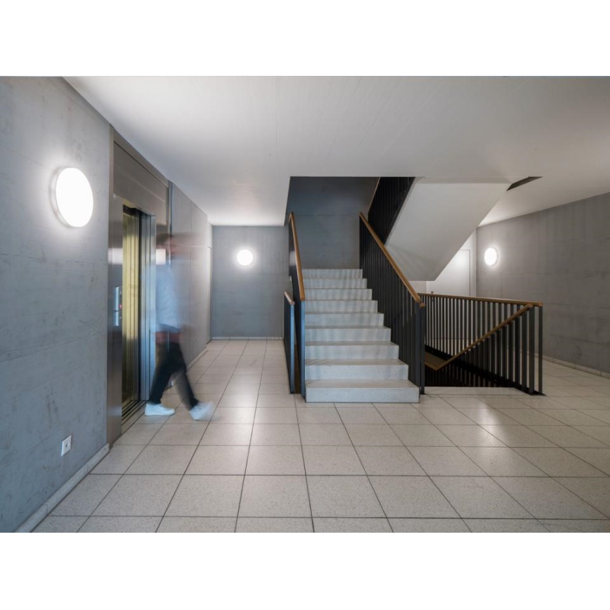Steinel - Plafón LED regulable con sensor RSPROR30BASICSC 23,22W/230V IP40 3000K