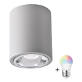 Svítidlo bodové LED RGBW JUPITER, stmívatelné, 1xE27/6,5W/230V, 2700-6500K, Wi-Fi, průměr 9,8 cm, šedé