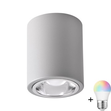 Svítidlo bodové LED RGBW JUPITER, stmívatelné, 1xE27/6,5W/230V, 2700-6500K, Wi-Fi, průměr 9,8 cm, šedé