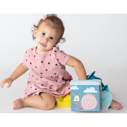 Taf Toys - Caja con pañuelos KIMMI koala