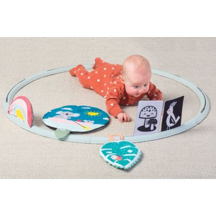 Taf Toys - Aro de actividades "Todo a mi alrededor" d. 90 cm koala