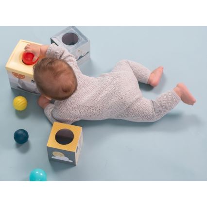 Taf Toys - Juego interactivo Polo Norte