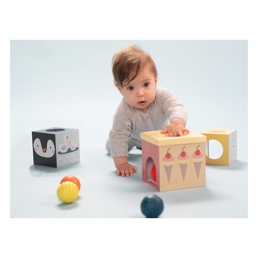 Taf Toys - Juego interactivo Polo Norte
