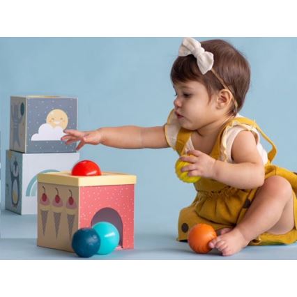 Taf Toys - Juego interactivo Polo Norte