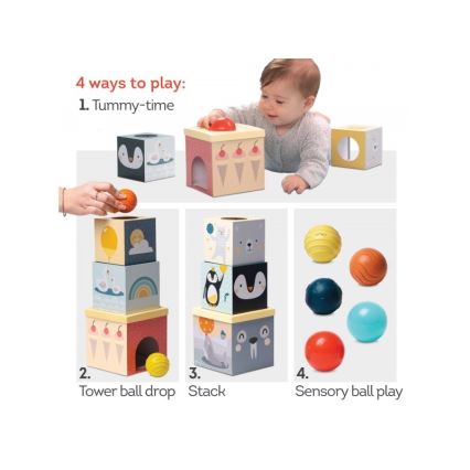 Taf Toys - Juego interactivo Polo Norte