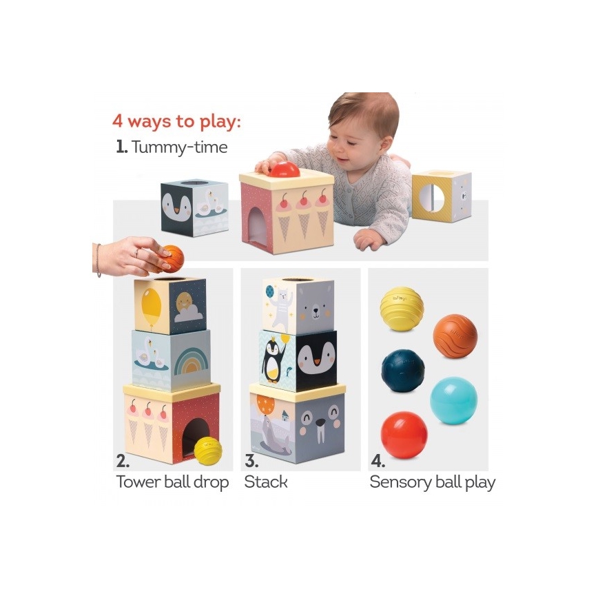 Taf Toys - Juego interactivo Polo Norte