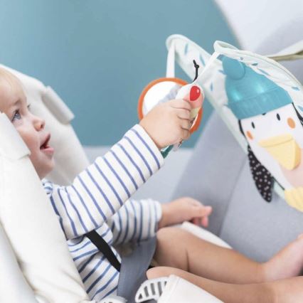 Taf Toys - Juguete de coche Play & Kick pingüino 3xAA