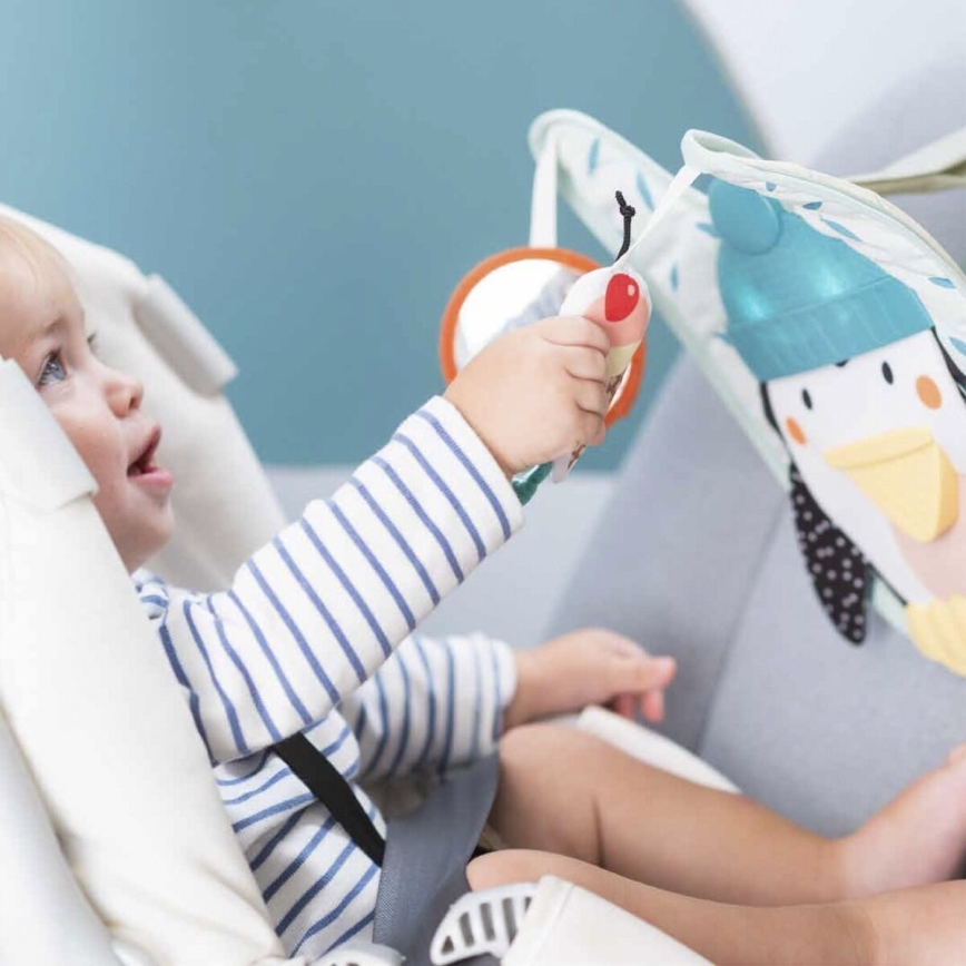 Taf Toys - Juguete de coche Play & Kick pingüino 3xAA