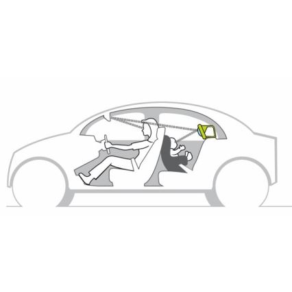 Taf Toys - Koala en el centro de juego del coche