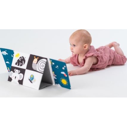 Taf Toys - Libro textil infantil con espejo negro