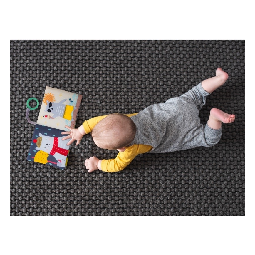 Taf Toys - Libro Textil para Bebé Osito de Peluche