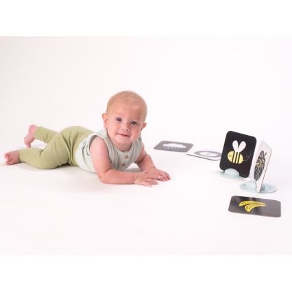 Taf Toys - Tarjetas para jugar boca abajo  18 piezas