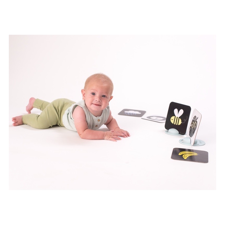 Taf Toys - Tarjetas para jugar boca abajo  18 piezas