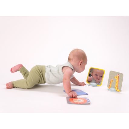 Taf Toys - Tarjetas para jugar boca abajo  18 piezas