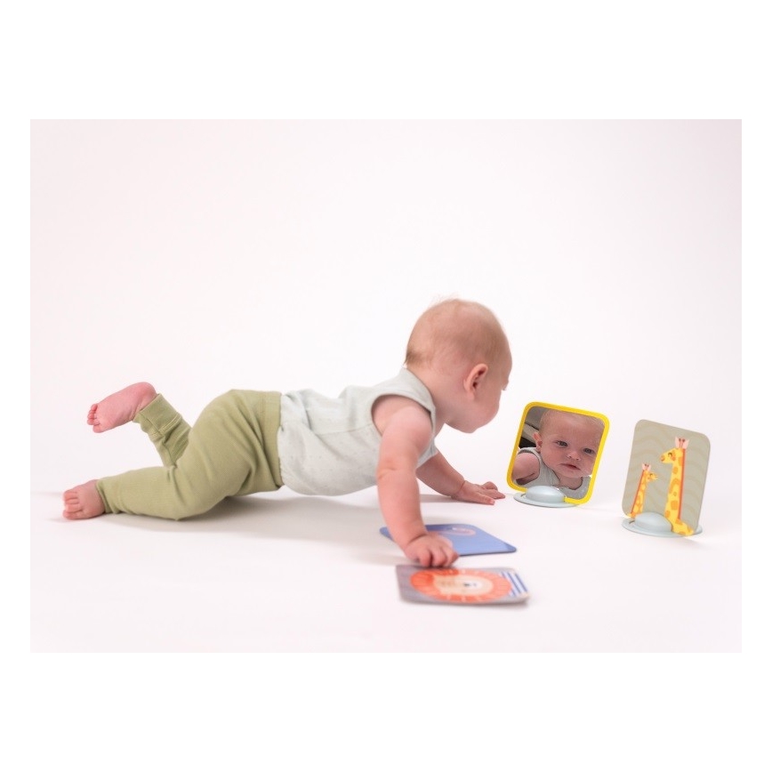 Taf Toys - Tarjetas para jugar boca abajo  18 piezas