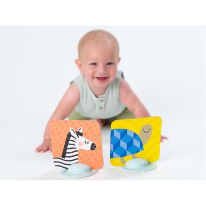 Taf Toys - Tarjetas para jugar boca abajo  18 piezas