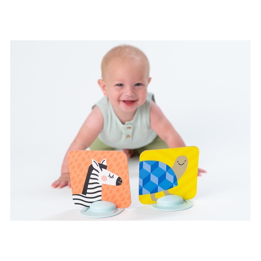 Taf Toys - Tarjetas para jugar boca abajo  18 piezas