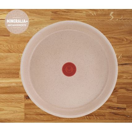 Tefal - Juego de 3 sartenes INGENIO DELIGHT