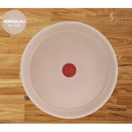 Tefal - Juego de cocina de 17 piezas INGENIO DELIGHT