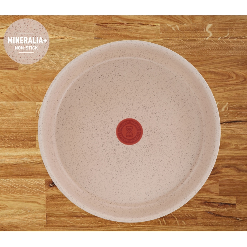 Tefal - Juego de cocina de 17 piezas INGENIO DELIGHT