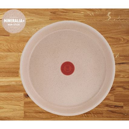 Tefal - Juego de menaje de cocina de 6 piezas INGENIO DELIGHT