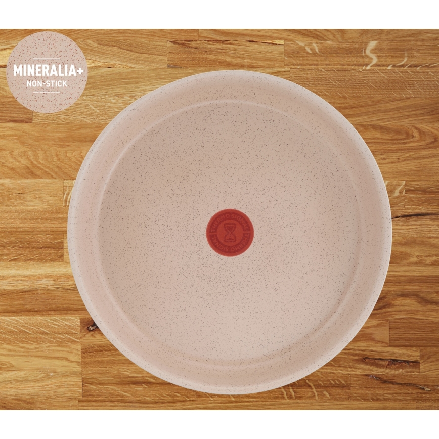 Tefal - Juego de menaje de cocina de 6 piezas INGENIO DELIGHT